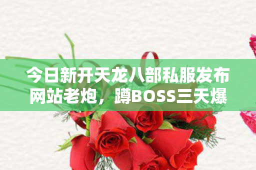 PK卡技能反杀的野路子天龙八部私服图片