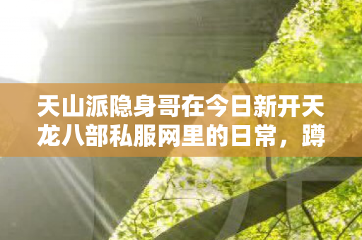 天山派隐身哥在今日新开天龙八部私服网里的日常图片