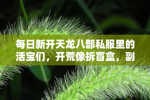 NPC藏着满肚子小心思天龙八部私服图片
