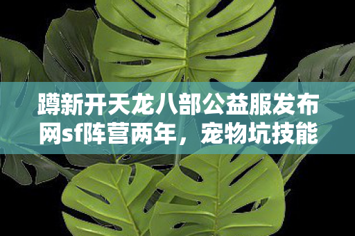宠物坑技能炸的血泪野路子全唠给你听天龙八部私服图片