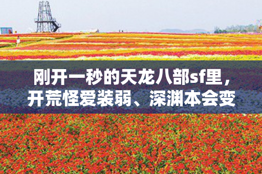 刚开一秒的天龙八部sf里图片