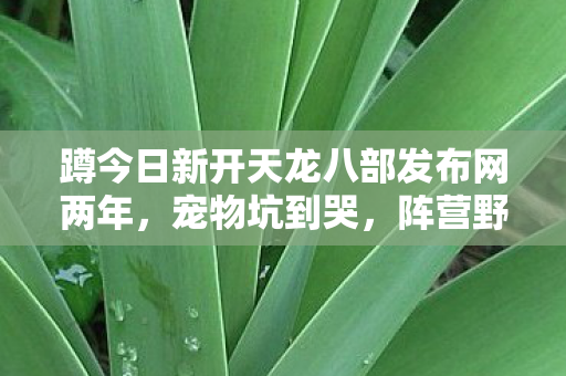 阵营野路子我摸透了给你唠天龙八部私服图片