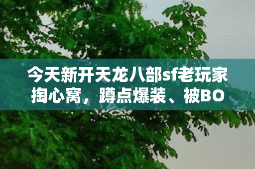被BOSS虐哭的血泪踩坑指南天龙私服图片