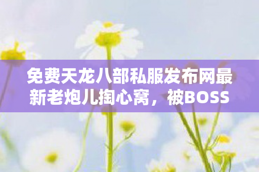 免费天龙八部私服发布网最新老炮儿掏心窝图片
