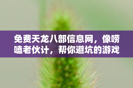 让新人少走弯路天龙八部私服图片