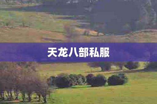 天龙八部私服图片