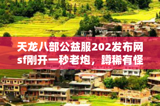 蹲稀有怪被BOSS虐到卸载的真实唠嗑天龙八部私服图片