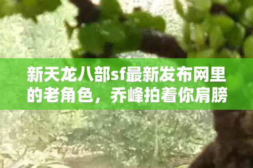 乔峰拍着你肩膀喊你再闯聚贤庄天龙私服图片