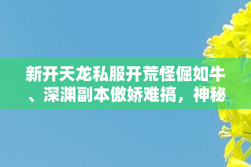 神秘NPC藏多少坑人小心思图片