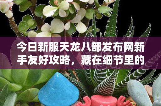 藏在细节里的玩法让你快速赶超老玩家天龙私服图片
