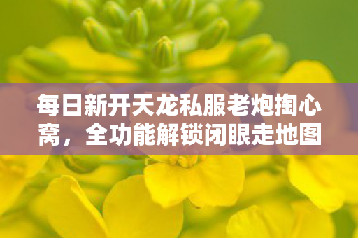全功能解锁闭眼走地图 PK乱杀的江湖我混了十年天龙八部私服图片