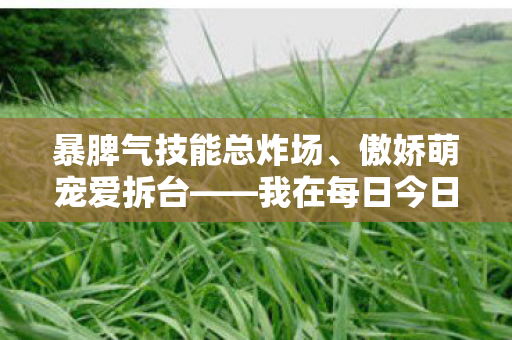 我在每日今日新开天龙八部sf的阵营血泪天龙私服图片