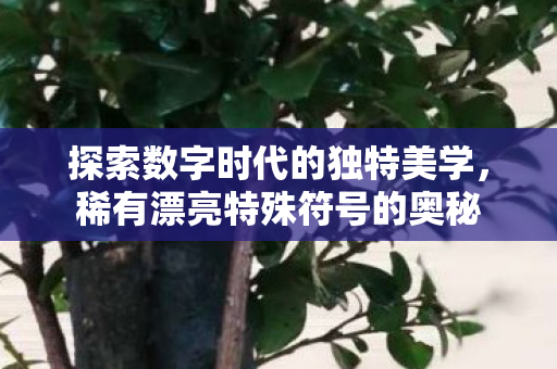 探索数字时代的独特美学图片