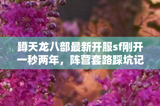 蹲天龙八部最新开服sf刚开一秒两年图片