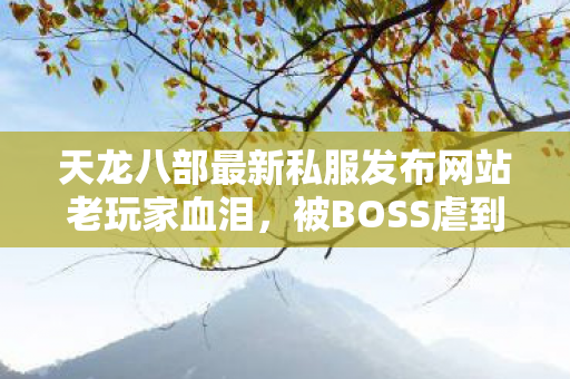 天龙八部最新私服发布网站老玩家血泪图片