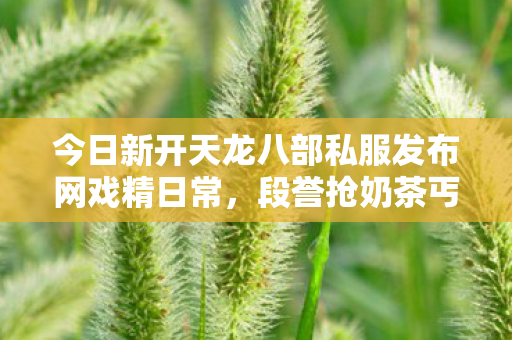 今日新开天龙八部私服发布网戏精日常图片