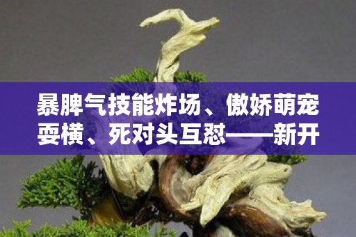 新开天龙八部私服江湖活色生香天龙八部私服图片