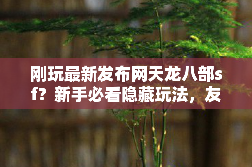 刚玩最新发布网天龙八部sf图片