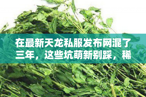 稀有道具蹲点技巧全说给你听天龙八部私服图片