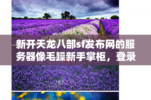 新开天龙八部sf发布网的服务器像毛躁新手掌柜图片