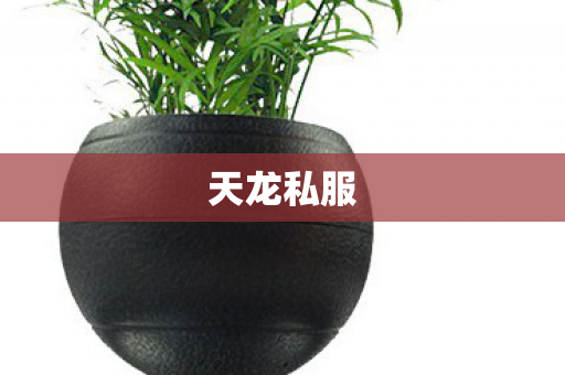 天龙私服图片