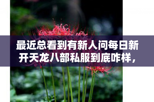 最近总看到有新人问每日新开天龙八部私服到底咋样图片