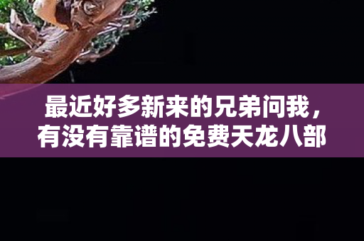 毕竟在这类免费天龙八部最新sf发网站里混了也好几年了图片