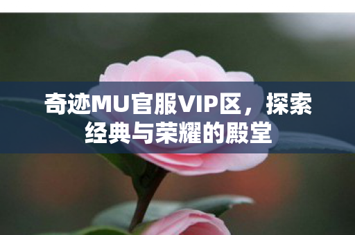 奇迹MU官服VIP区图片