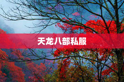 天龙八部私服图片