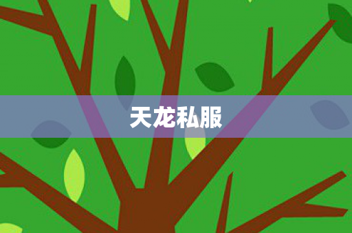 天龙私服图片
