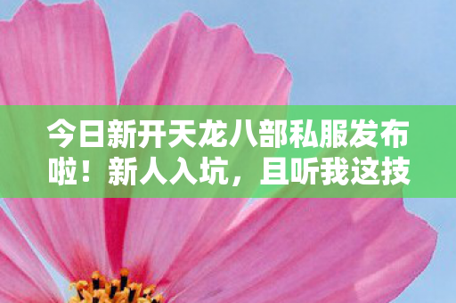 且听我这技能发烧友唠唠血泪史图片