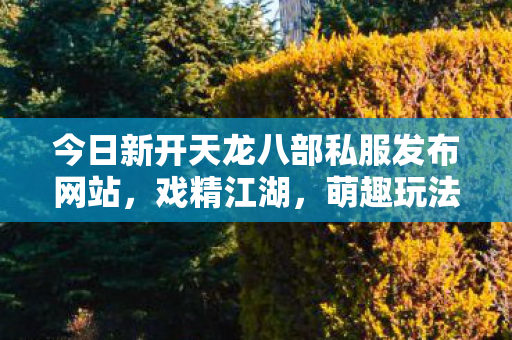 今日新开天龙八部私服发布网站图片