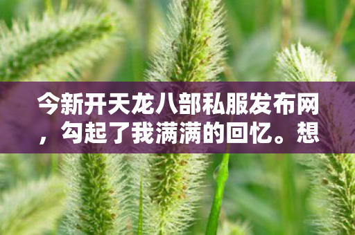 今新开天龙八部私服发布网图片