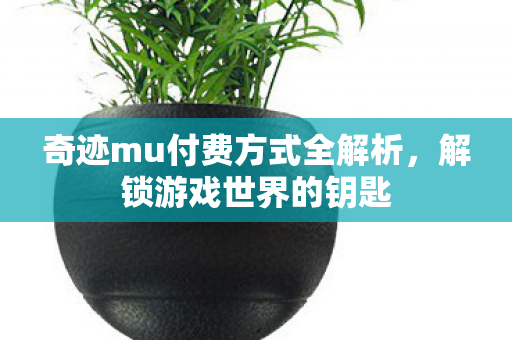 奇迹mu付费方式全解析图片