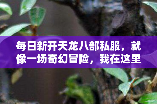 今天就来和新人唠唠我的血泪史图片