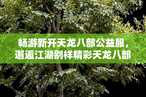邂逅江湖别样精彩天龙八部私服图片