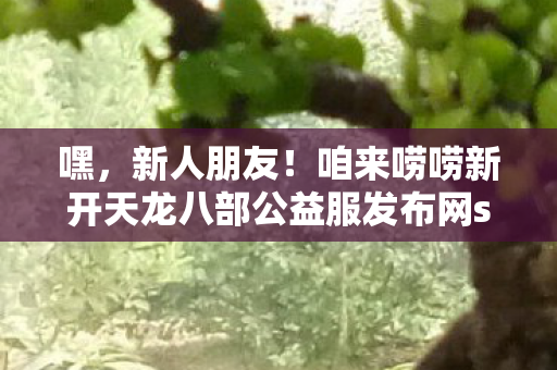 咱来唠唠新开天龙八部公益服发布网sf那些事儿图片