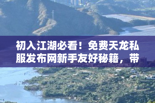 免费天龙私服发布网新手友好秘籍图片