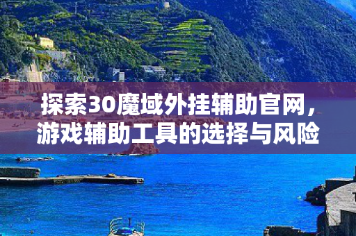 游戏辅助工具的选择与风险预警图片