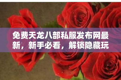 免费天龙八部私服发布网最新图片