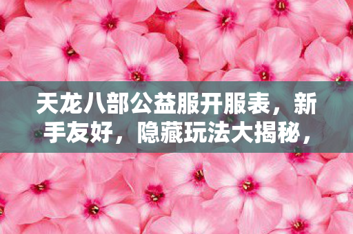 天龙八部公益服开服表图片