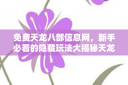 新手必看的隐藏玩法大揭秘天龙八部私服图片