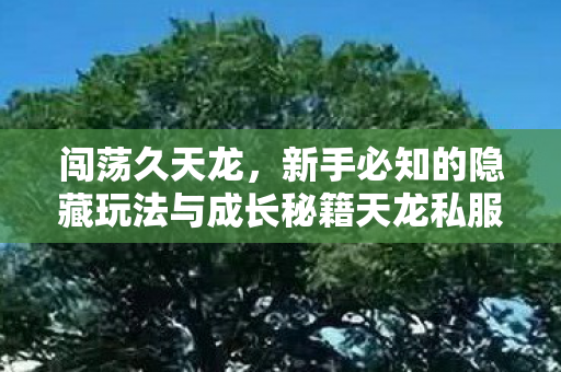 新手必知的隐藏玩法与成长秘籍天龙私服图片