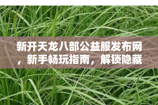 解锁隐藏玩法大揭秘天龙私服图片