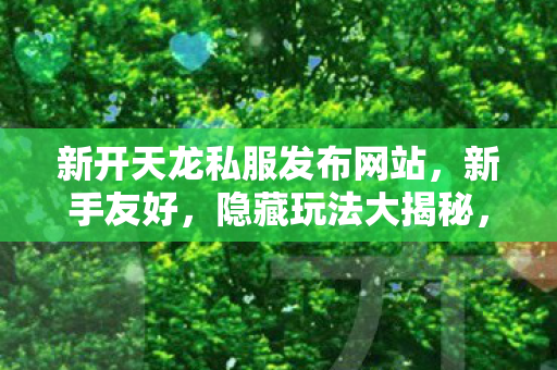新开天龙私服发布网站图片