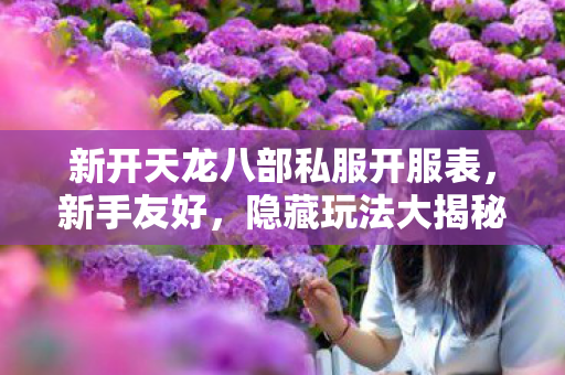 新开天龙八部私服开服表图片