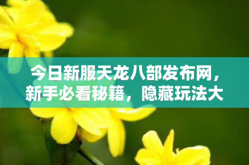 隐藏玩法大揭秘天龙八部私服图片