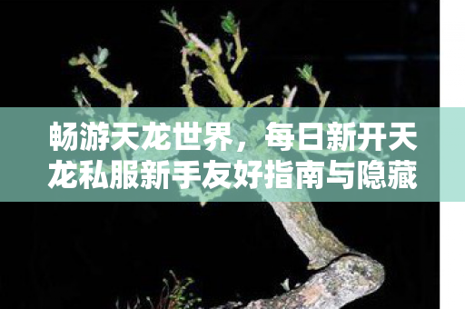 每日新开天龙私服新手友好指南与隐藏玩法大揭秘天龙私服图片