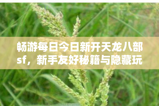 新手友好秘籍与隐藏玩法大揭秘天龙八部私服图片