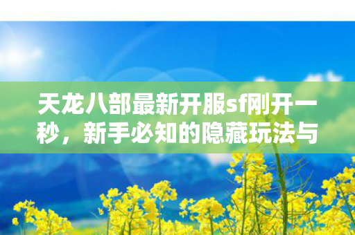 新手必知的隐藏玩法与升级秘籍天龙私服图片